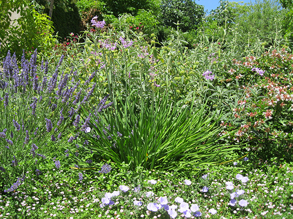 Réalisation paysagère Jardin Service 34 Hérault