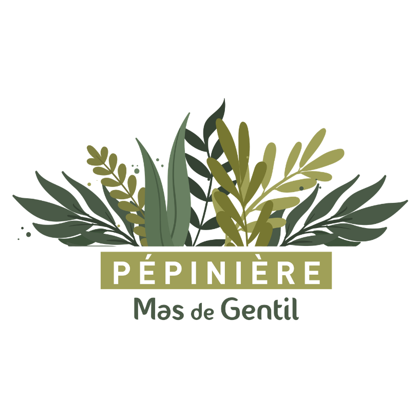Logo Pépinière du Mas de Gentil partenaire