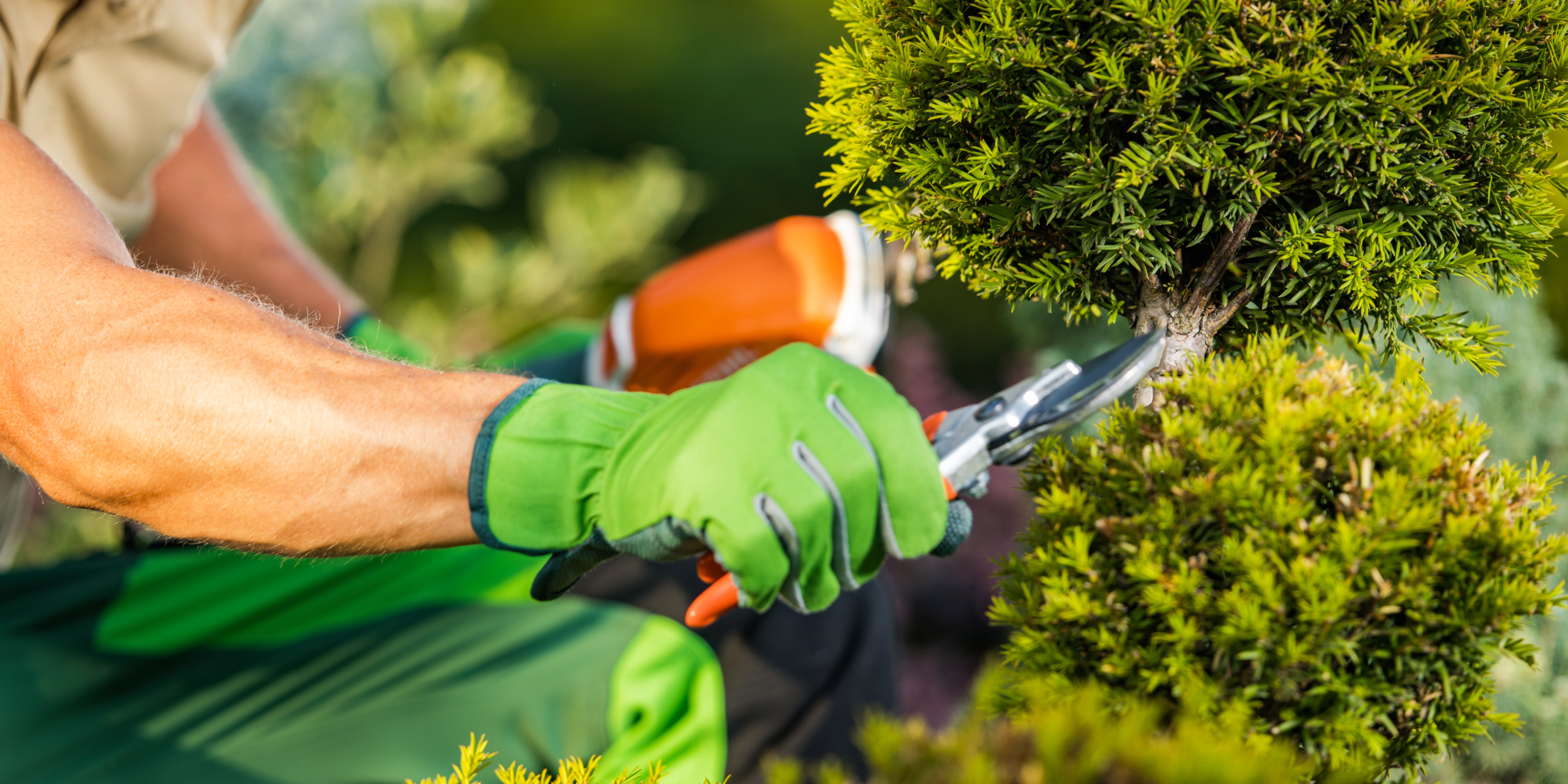 Entretien jardin espaces verts Hérault Jardin Service 34