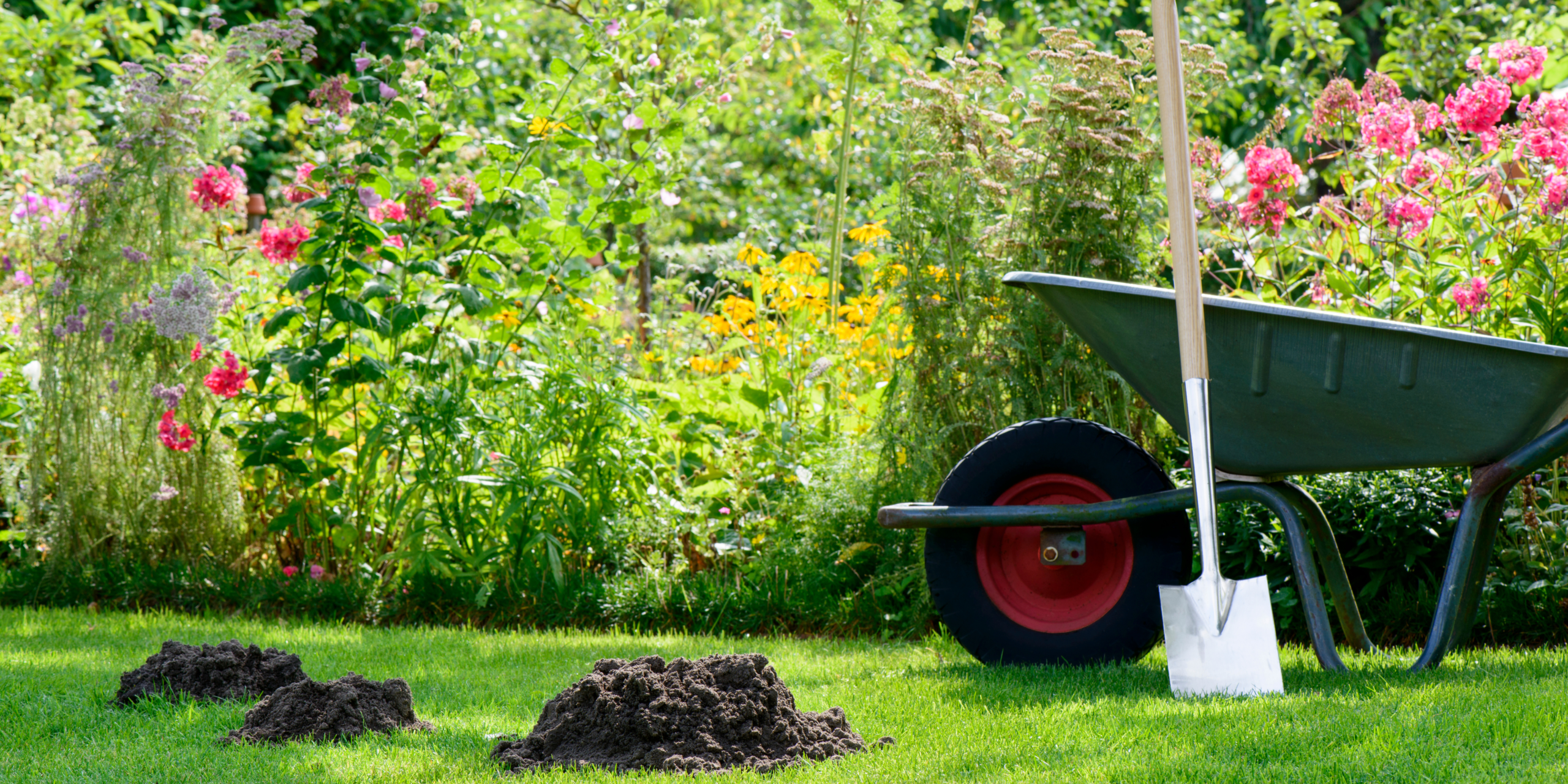 Terre végétale amendée criblée Hérault Jardin Service 34